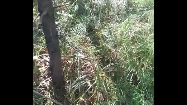 Секс на природе