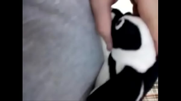 COMENDO O PINGUIM GOSTOSO MANO