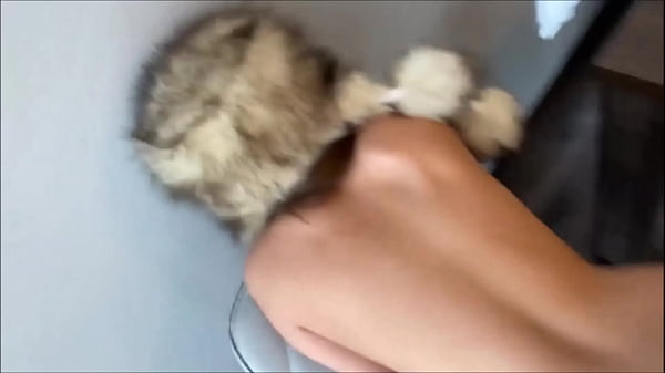 Amateur hot teen ass fucked