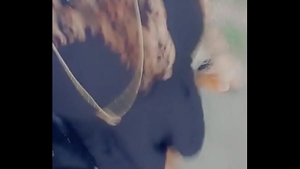 Lili2b - update #25 - Jul 20, 2020