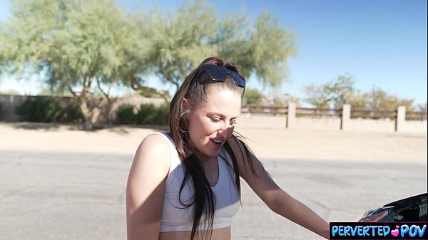 Stranded driver gets picked up for sex