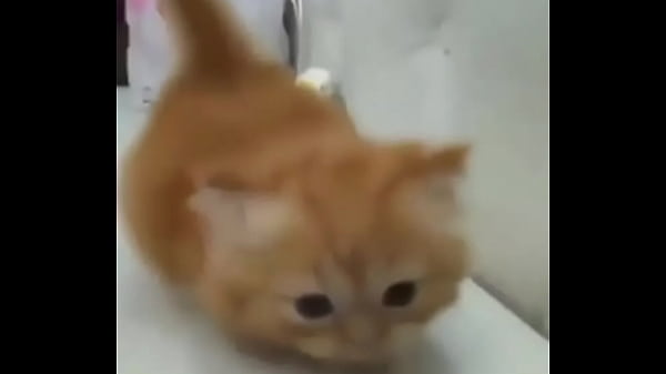 Soy muy linda y guapa, estoy cachondisima 