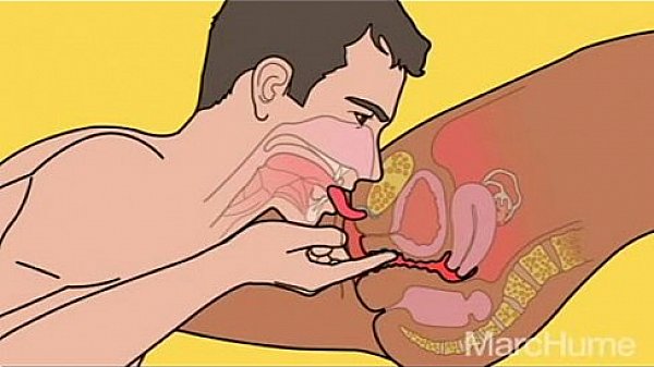 HOW TO MAKE LOVE TO A WOMEN