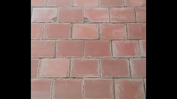 solventando el estudio con el puterio