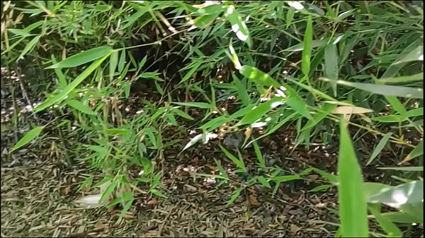 Chantal Channel in a sexy couple clip  outdoor in a lara croft's cosplay.  Hot blowjob!  