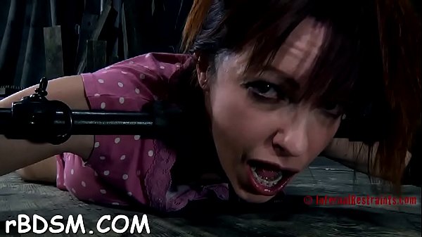 Wild t. for hawt serf