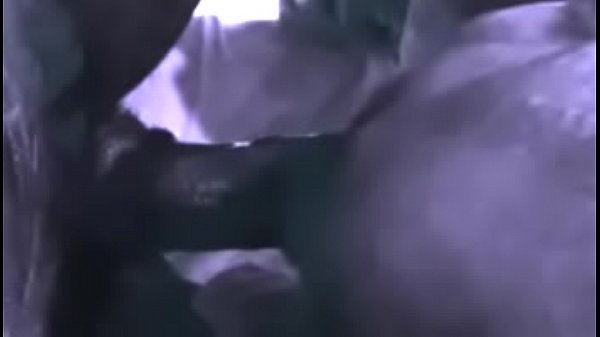 Cock sucking art porn  