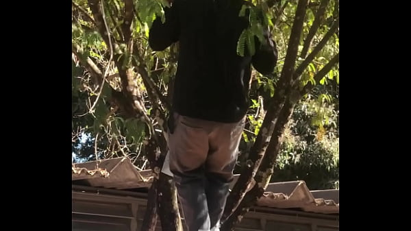 Garoto trepando no pau em aula 