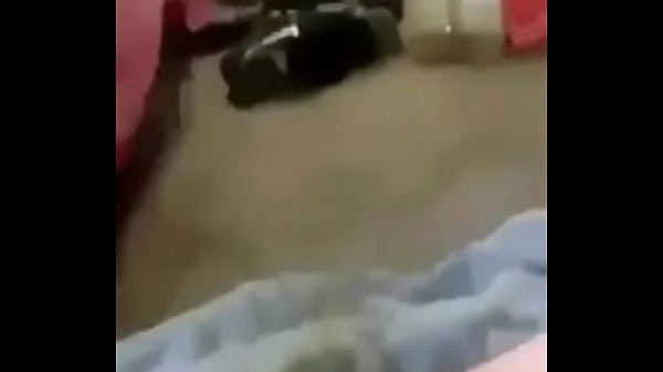 040E8BA1-EDA9-4D12-93E0-F1B24B69FBD7.MOV