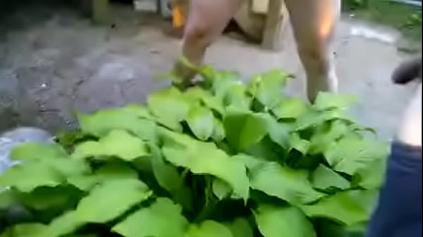 Couple pissing together on a plant