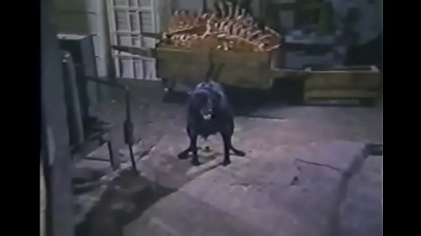 Hospital da Corrupcao e dos Prazeres