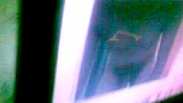 valeria raquel morales UNITEC tlahuac mex