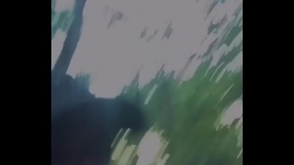 Hoje eu to fazendo uma caminhada no mato depois da academia, pqp que canseira ?