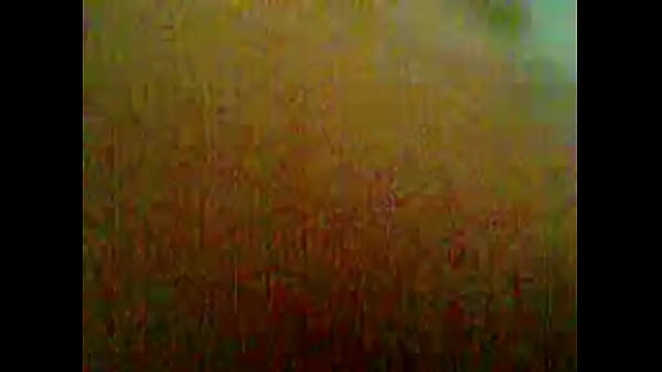 vo chong viet lam sin