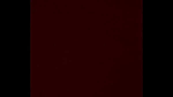 Todd eating EDS pussy