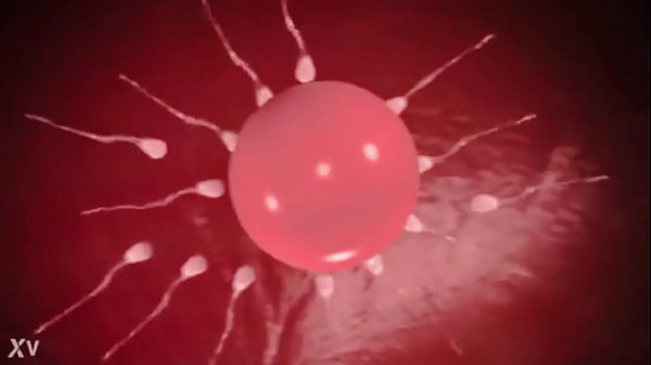 Big Boobs Moaning 3D