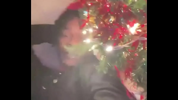 - Update #20 (2023-12-26T02:54:19.000Z) 