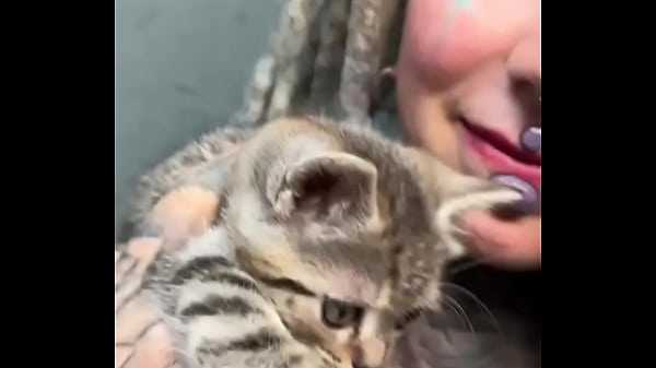 Adorable kittens always make everything better ?Which animal brings you the most comfort?#KittenLove #CuddleVibes ...