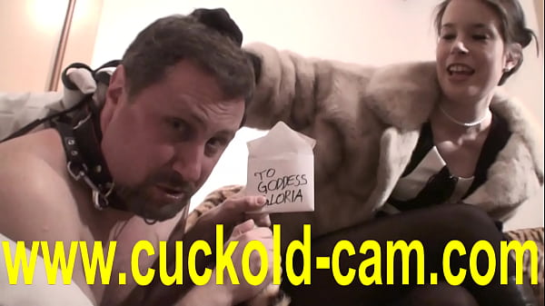 cuckold loser without borders