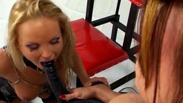 euro sluts get gaped 347  