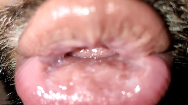 C&oacute;mo comerte el co&ntilde;o