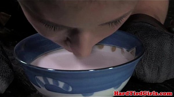 Obedience treament in puppy play