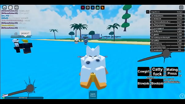 V&iacute;deo de verifica&ccedil;&atilde;o  