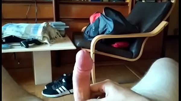 Paja en sal&oacute;n