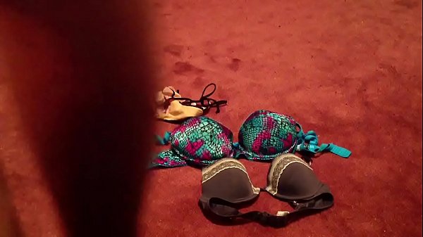 My wife's sister bra