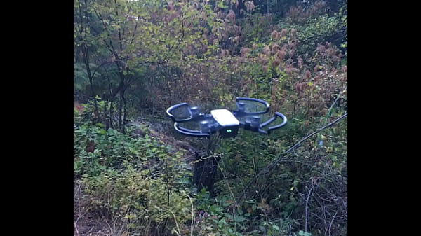 Drone on Lummi Island