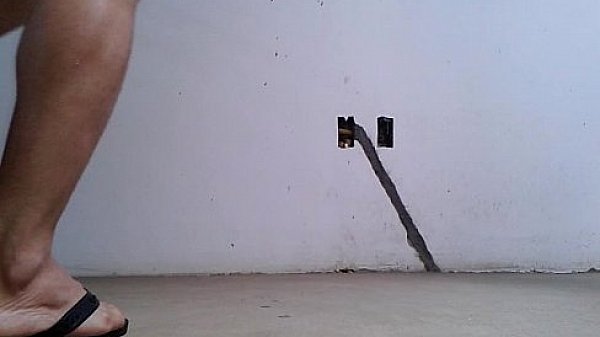 Lek brincando sozinho  (Bahia) - Brazil 