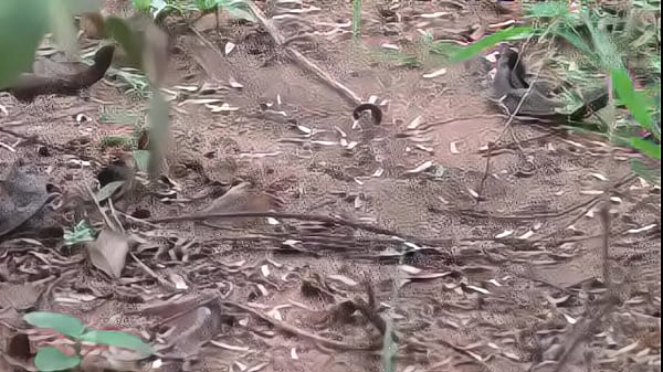 Kamala Aunty Phone lo Srungaram with Neighbour Telugu Phone Talk  Talk Telugu Mu low