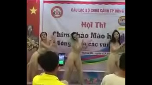 thi chim cap nhat moi nhat