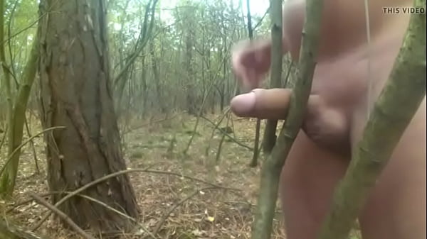 fuck tree deep forest