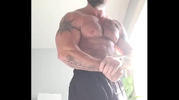 #humpday - Update #33 (2024-11-13T16:11:21.000Z) 