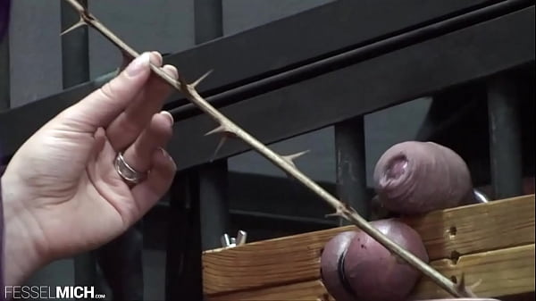 Verh&ouml;r des Sklaven mit Hodenpranger, Hodenschmerzen und vielem mehr, damit er endlich gesteht und bereit ist, seine Vergehen zuzugeben