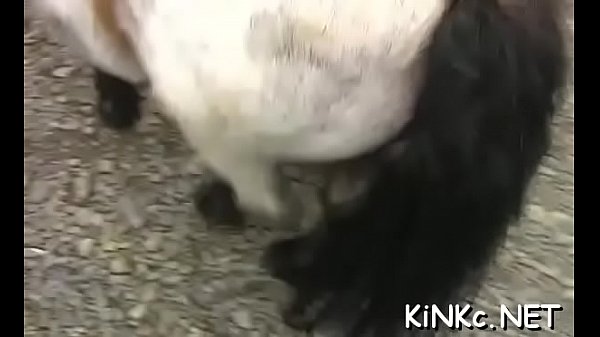 Mistress takes serf for walk