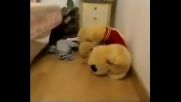 Real sex dating in your city: