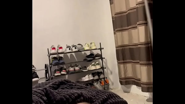 Mis mecos ar&aacute;cnidos  