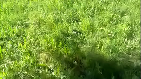 2181963 i left my wife alone blindfolded and tied in a voyeurs area