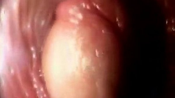 ass fucking best as can be