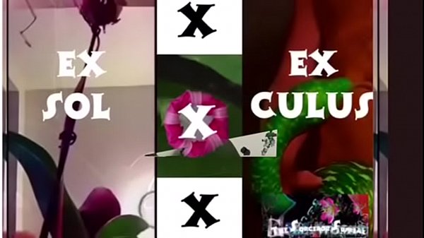 Sorceror supreme bamboo root flute root boot