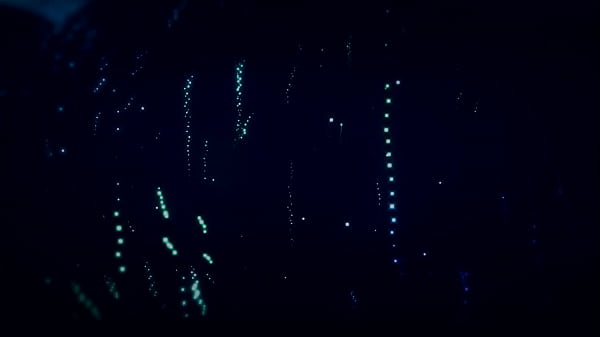 Doku Neko - Chupando o pau do seu mestre  