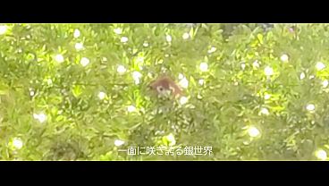 Alone day ft.kasane teto