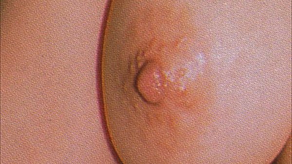 Nipple -Porno magazine 90s-