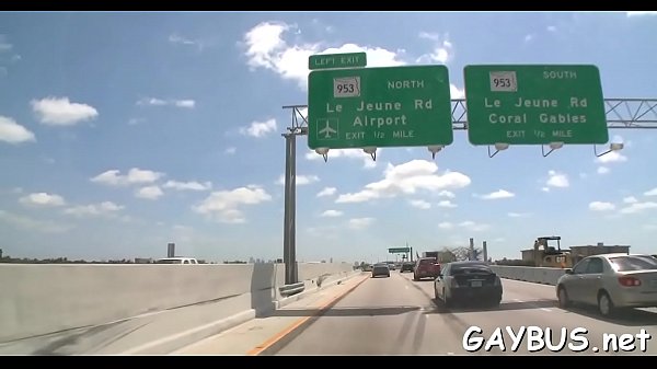 Lusty and racy homosexual banging