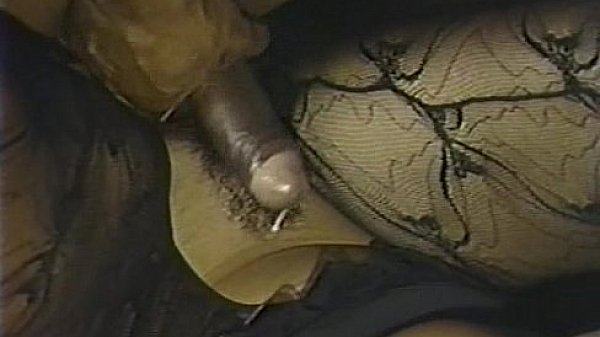 KassiNova@TheHustler