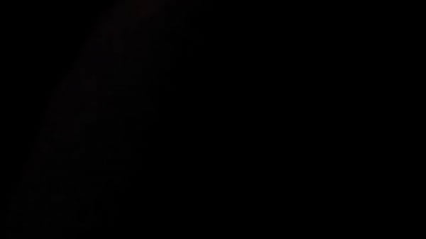 Sexy girl giving head  