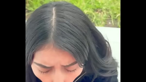 Novios cachondos tienen sexo en un parque publico al aire libre  