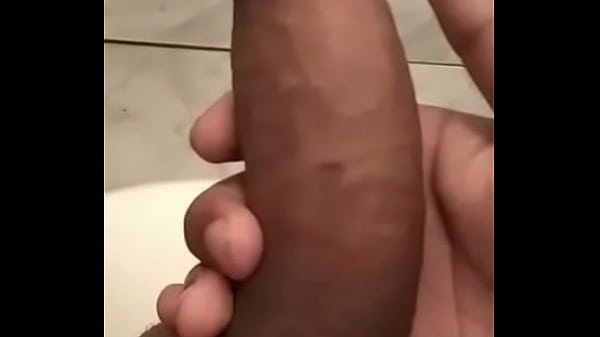 novinho de ara&ccedil;atuba  